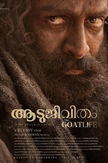 Aadujeevitham: Keçilerle Yaşam – The Goat Life izle