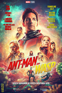 AntMan ve Wasp izle