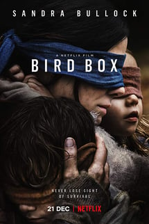 Kafes – Bird Box izle