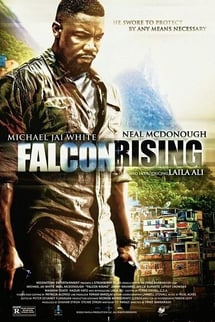 Kod Adı: Şahin – Falcon Rising izle