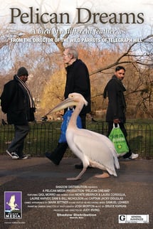 Pelican Dreams izle